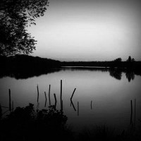 /album/www-hoopdoetleven-be/photolia-b01-jpg/